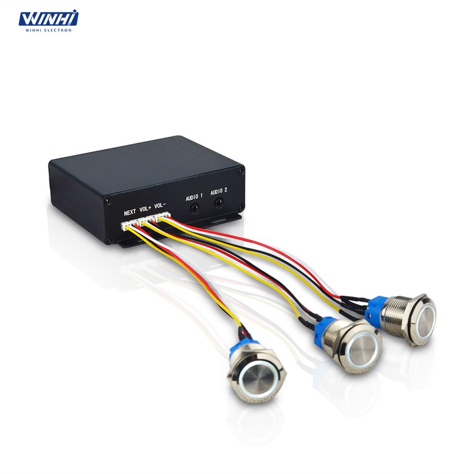 Audio Media Player